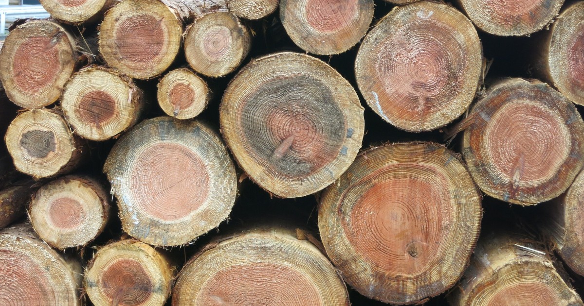 Remote Backup and SSH Login without Password Remote Backup and SSH Login without Password