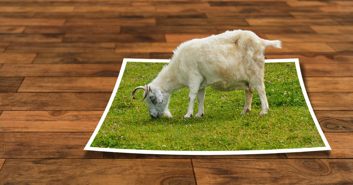 Completely free images for your web/marketing projects - Pixabay, Unsplash, Pexels Completely free images for your web/marketing projects - Pixabay, Unsplash, Pexels