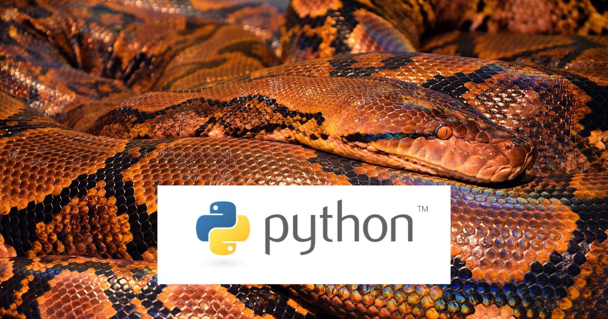 Von 0 auf 100: Python Programmieren Tutorial